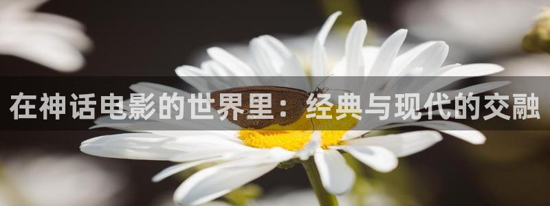 秋霞手机在线电影网