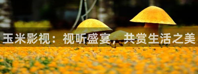 秋霞在线在线