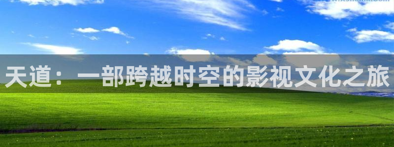 秋霞网首页