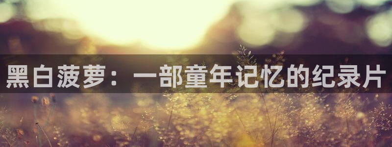 秋霞影院韩国理论