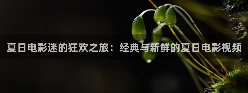 717秋霞被窝电影