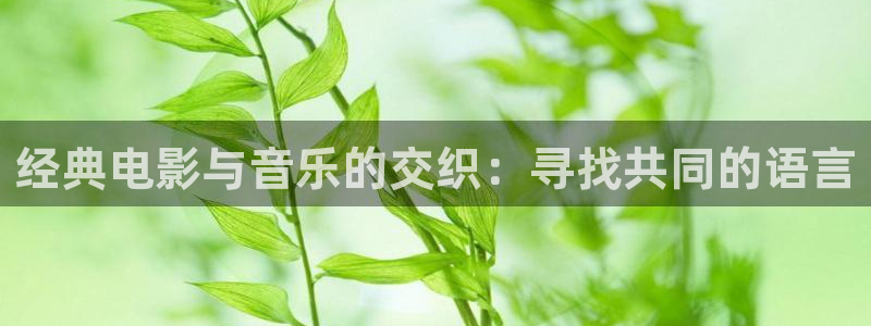 秋霞鲁丝84片