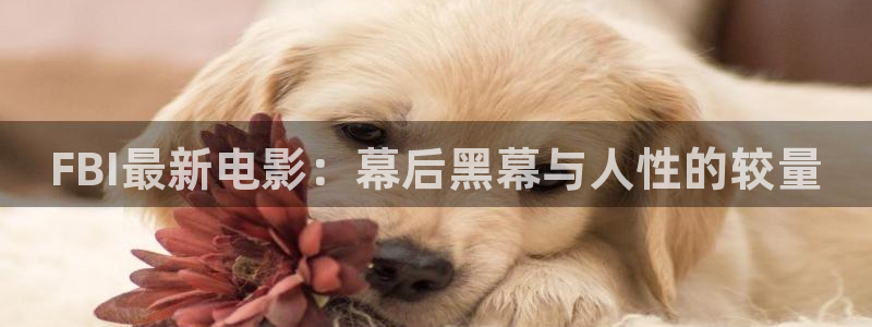 秋霞在线一