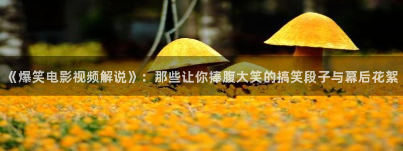 q秋霞电影