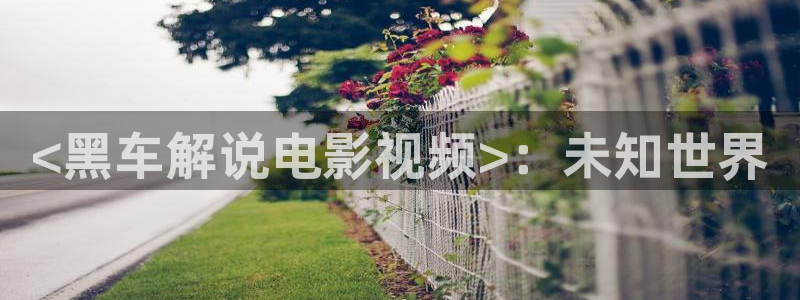秋霞电影午夜在线播放