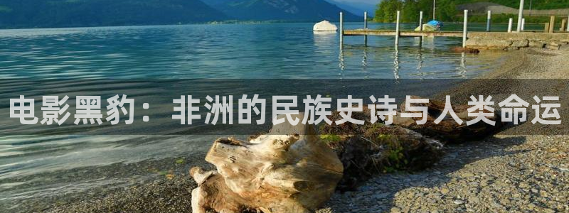 秋霞 电影