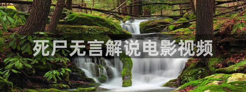 91秋霞网