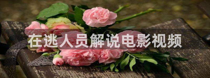 秋霞电影网吉吉影音