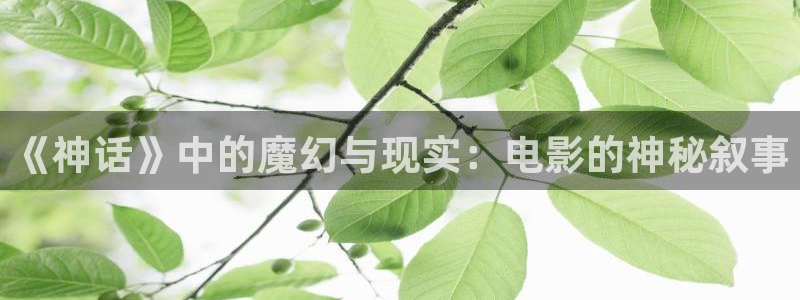 秋霞二人电影