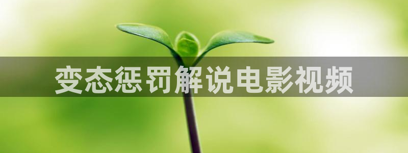 秋霞在线看看