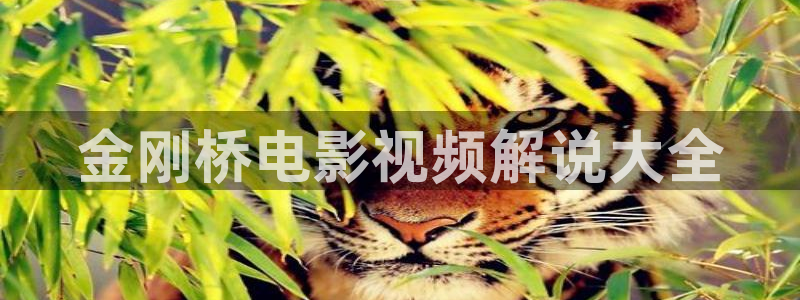 秋霞性伦理片