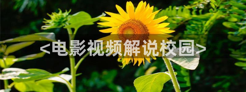 秋霞影院动漫