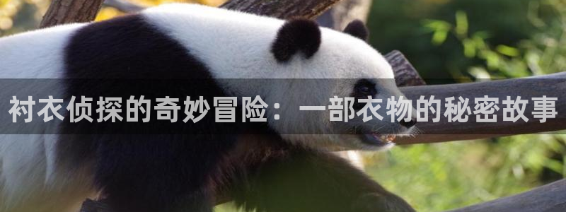 秋霞光棍电影院