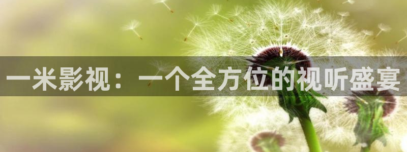 秋霞影院动漫