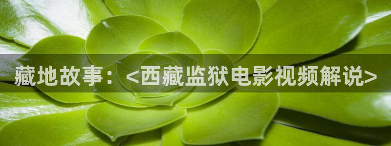 秋霞影院eeuss