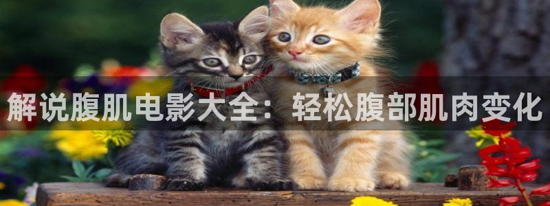 秋霞影视大全在线观看