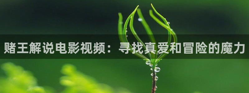 秋霞电影网完整版