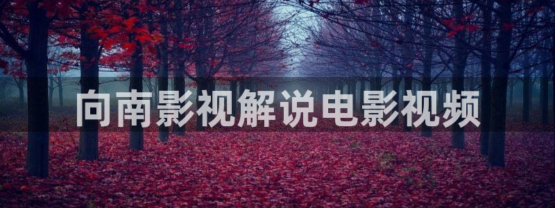 秋霞韩国电影网