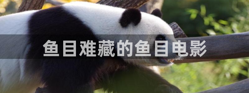 秋霞午夜电影免费在线观看