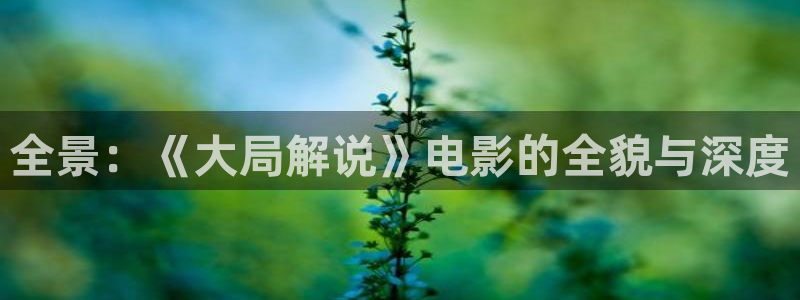 秋霞电影网一区二区