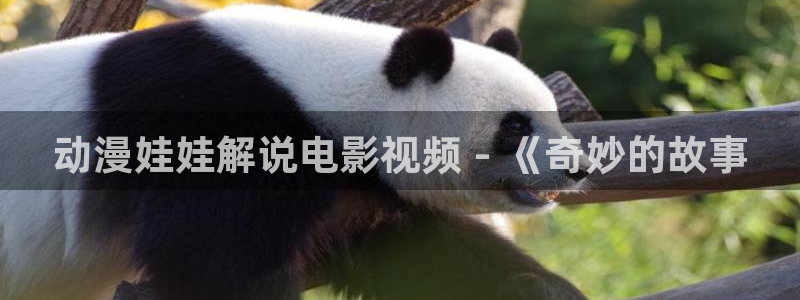 秋霞手机伦理网