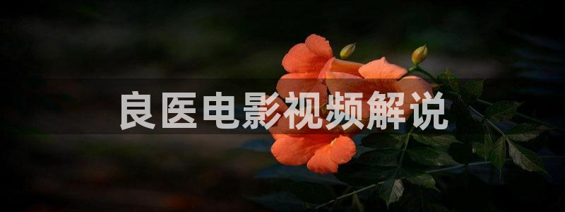 秋霞电影秋葵视频