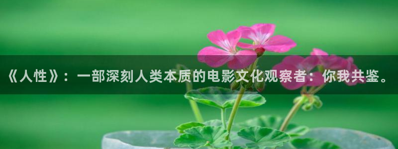 秋霞在线影院观看