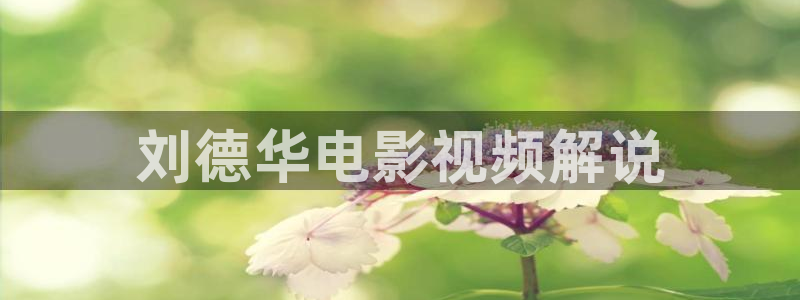 秋霞网97