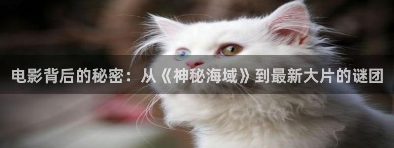 秋霞网视频