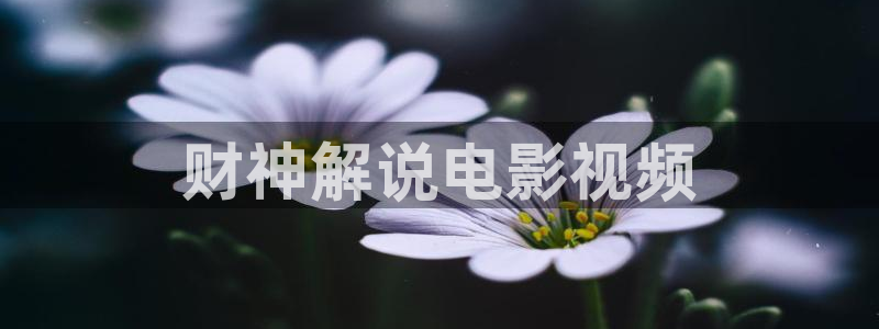 yy秋霞影视