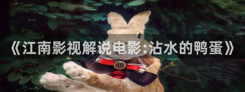 秋霞电影网在线观看视频