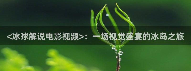 秋霞龙里片