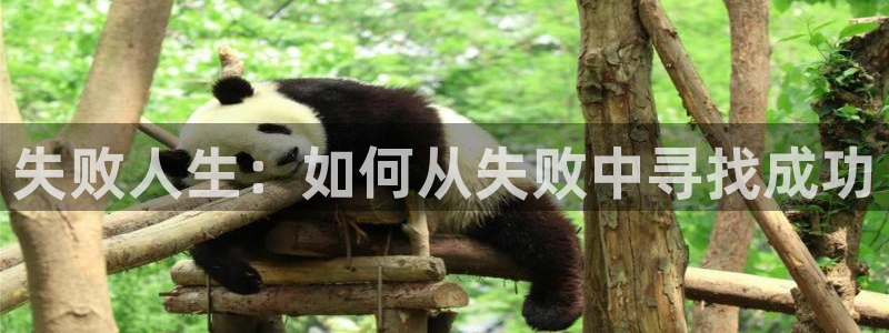 秋霞电影网 在线观看