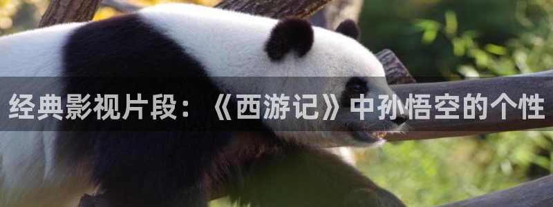 秋霞成人免费电影